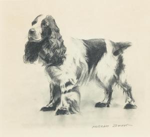 DENNIS Morgan 1892-1960,A Cocker Spaniel,Bonhams GB 2023-11-08