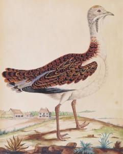 Denny Thomas 1956,Studies of exotic birds in a landscape,Woolley & Wallis GB 2015-12-10