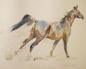 DENT David 1959,Arabian horses,Clevedon Salerooms GB 2020-06-04