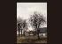DEPERTHES Jacques 1936,Landscape with Groves,Mainichi Auction JP 2008-09-13