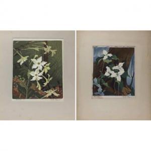 DEPEW VERNA VIOLA 1894-1992,NICOTIANA & TRILLIUMS,Waddington's CA 2020-05-28