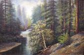 DeRayne Thomas 1859-1936,A forest interior with a river running through it,Bonhams GB 2005-07-24
