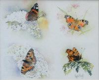 DERRY MARGARET 1900-1900,Butterflies,David Lay GB 2012-04-12