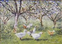 DERRY MARGARET 1900-1900,Geese in an apple orchard,David Lay GB 2011-01-13