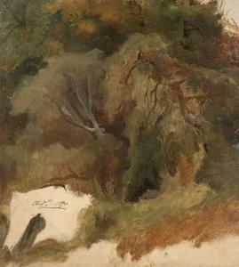 DESGOFFE Alexandre 1805-1882,Etude d'arbre,Artcurial | Briest - Poulain - F. Tajan FR 2022-09-27