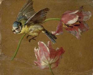 DESPORTES Alexandre Francois 1661-1743,A study of two tulips and a bluebird,Christie's GB 2007-10-04