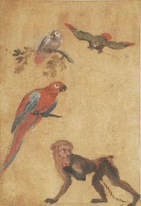 DESPORTES Alexandre Francois 1661-1743,Studies of parrots and a monkey,Dreweatt-Neate GB 2012-12-11