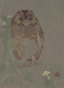 DETMOLD Charles Maurice 1883-1908,Owl,19th century,Tooveys Auction GB 2021-02-03