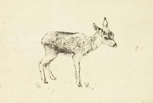 DETMOLD Edward Julian 1883-1957,An etching of a fawn,John Nicholson GB 2020-12-07