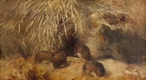 DETMOLD Edward Julian 1883-1957,Field mice,Bonhams GB 2010-04-20