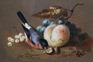 DEXTER William 1818-1860,A Bullfinch with fruit,1849,Reeman Dansie GB 2020-08-11