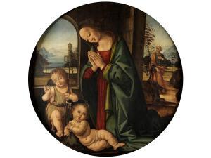 DI CREDI Tommaso 1490-1510,MADONNA IN ANBETUNG DES KINDES, MIT DEM JOHANNESKN,Hampel DE 2020-09-25