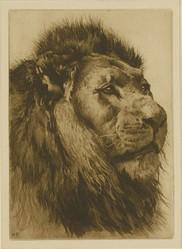 DICKSEE Herbert Thomas 1862-1942,HEAD OF A LION,1891,Sworders GB 2019-04-30