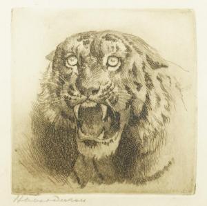 DICKSEE Herbert Thomas 1862-1942,Snarling Tiger,Bellmans Fine Art Auctioneers GB 2024-03-28