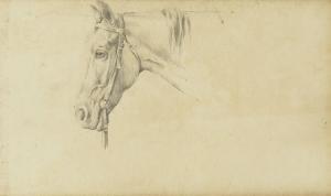 DICKSEE Herbert Thomas 1862-1942,Study of a horse's head,Bellmans Fine Art Auctioneers GB 2024-03-28