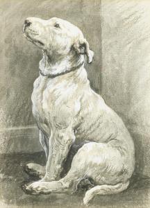 DICKSEE Herbert Thomas 1862-1942,William, a bull terrier,Bellmans Fine Art Auctioneers GB 2024-03-28