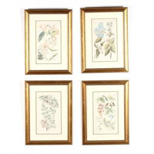 Dietrich David 1799-1888,Four Botanical Engravings,19th century,Leland Little US 2020-10-01