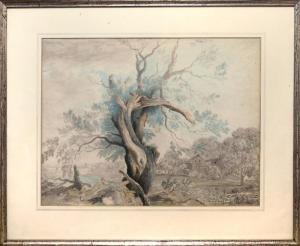 DILLIS Cantius 1779-1856,Baumstudie,Scheublein Art & Auktionen DE 2021-05-14