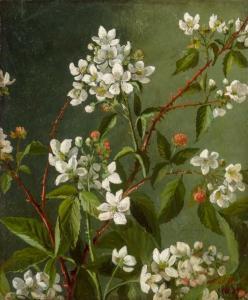 DILLON Julia McEntee 1834-1919,Blossoms on a Raspberry Bush,1881,William Doyle US 2022-05-04