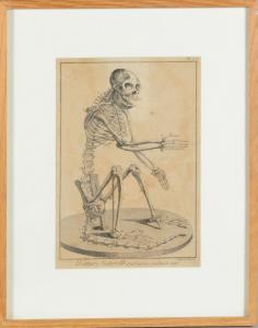 DIREXIT Bernard,Histoire naturelle, quadrupèdes, squelette de sin,20th century,De Maigret 2022-05-19
