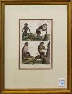 DIREXIT Bernard,Histoire Naturelle, Quadrupedes,18th century,Clars Auction Gallery US 2021-05-21