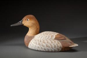 DISHAW David 1950,Canvasback Hen,1980,Copley US 2014-07-25