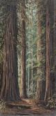 DIXON Alice Haigh 1876-1956,Redwood forest path,John Moran Auctioneers US 2018-10-23