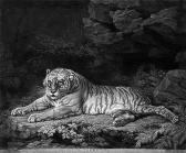 dixon john 1740-1801,Liegende Tigerin (A Tigress),1773,Galerie Bassenge DE 2015-05-28