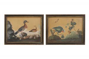 DIXON Samuel,Duck and bird beside rocks,1750,Sworders GB 2024-01-25