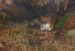 Dobbs Alan G.,recumbent fox amongst autumnal leaves,Gorringes GB 2022-08-29
