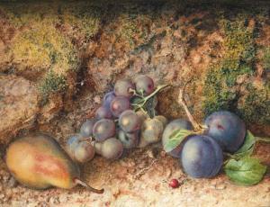 DOLAN Philip 1800-1900,Still life with Grapes, Plums and a Pear on a moss,Christie's GB 1998-11-19