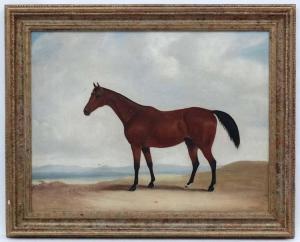 DOLLOTT J 1848,a bay horse in a landscape,Dickins GB 2017-10-13