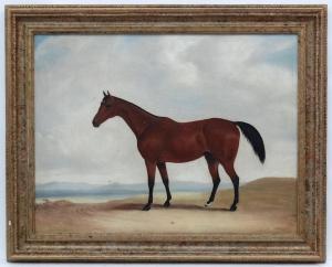 DOLLOTT J 1848,Portrait of a bay horse in a landscape,Dickins GB 2017-06-09