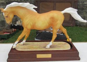 Donaldson Robert,horse, Palomino Hillview Golden Princess,Serrell Philip GB 2021-08-12