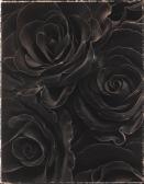 DONGEN van Ron 1961,Rosa Black Beauty,1998,Hindman US 2019-05-22