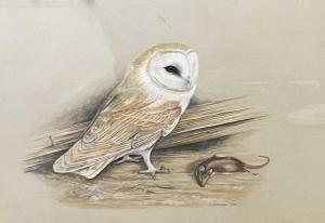 DONNER Carl 1957,a Barn Owl with prey,1975,Keys GB 2023-04-12