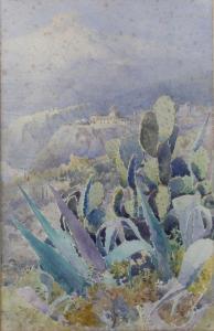 DONNISTHORPE,cactus en Algérie,Le Calvez FR 2013-03-28