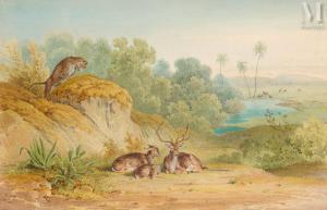 DOUDIET Alphonse 1807-1872,Guépards surveillant une famille de cervidés,Millon & Associés 2023-11-23