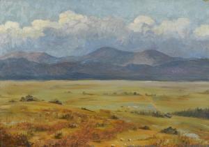 DOUGAN COLE Blanche 1869-1956,Landscape,Bonhams GB 2012-10-21