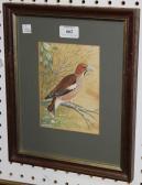 DOUGHTREY Peter,Hawfinch,Tooveys Auction GB 2015-12-31