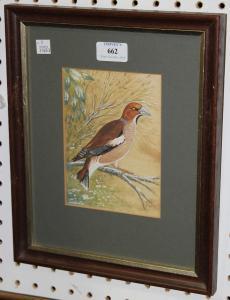 DOUGHTREY Peter,Hawfinch,Tooveys Auction GB 2015-12-31