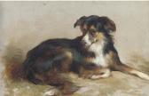 DOUGLAS Edwin James 1848-1914,A collie,Christie's GB 2004-11-18