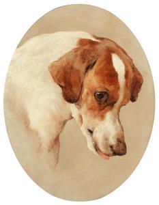 DOUGLAS Edwin James 1848-1914,Study of the head of a hound,1978,Bonhams GB 2021-03-03