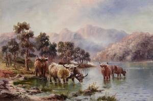 Douglas J.B,The Highland Cattle,Morgan O'Driscoll IE 2023-04-24