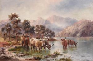 douglas James Johnson,The Highland Cattle,Morgan O'Driscoll IE 2016-08-08