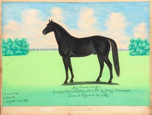 DOUSA Henry 1820-1900,PORTRAIT OF A HORSE,1892,Garth's US 2019-01-12