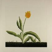 Doyle Cliona 1968,Yellow Tulip,Gormleys Art Auctions GB 2019-06-18