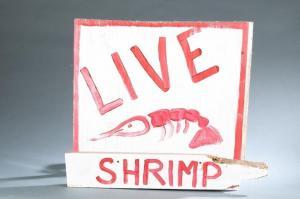 DR. BOB 1952,Live Shrimp,Quinn & Farmer US 2021-04-20