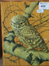 DRAKE Deirdre,Study Of A Tawny Owl on Birch Branch,Peter Francis GB 2014-04-23