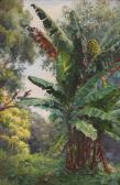 DRANGA Helen Thomas 1866-1940,BANANA TREE GROVE,Sotheby's GB 2016-06-09